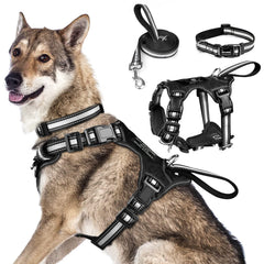 WINSEE 3-in-1 harness front view with reflective visibility for safer night walks