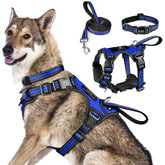 WINSEE all-in-one reflective harness front view for dusk visibility