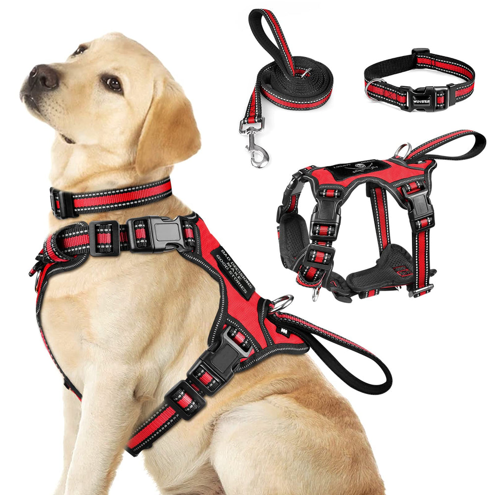 WINSEE all-in-one harness demonstrates reflective design for safer evening walks
