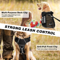 WINSEE breathable air-mesh harness keeps large dogs cool on walks.