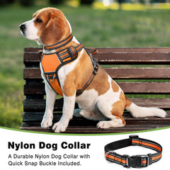 WINSEE dog harness back-clip supports relaxed walking with rear leash.