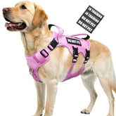WINSEE Escape-Proof Dog Harness front view showing secure fit for active dogs