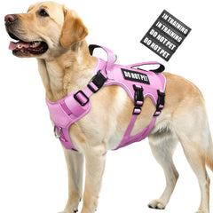 WINSEE Escape-Proof Dog Harness front view showing secure fit for active dogs