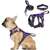 WINSEE purple harness front view with reflective fabric for safer evening walks.
