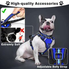 WINSEE reflective nylon collar-leash set boosting dusk visibility.
