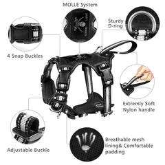WINSEE reflective collar closeup highlighting high visibility during dawn strolls