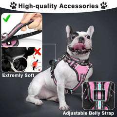 WINSEE reflective collar and leash attachment for safer dusk strolls.