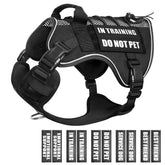 WINSEE service dog in training mesh harness with patches for clear role labeling.