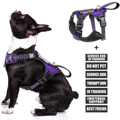 WINSEE service dog vest front clip shows no-pull control for safer walks
