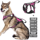 WINSEE service dog vest front view with front leash clip for easier control