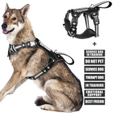 WINSEE service dog vest front view shows no-pull design for safer leash control.