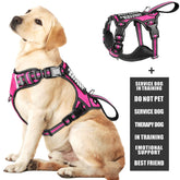 WINSEE service dog vest front view ensuring visible, secure fit for daily training
