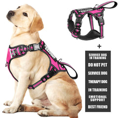WINSEE service dog vest front view ensuring visible, secure fit for daily training