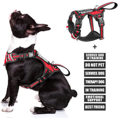 WINSEE service dog vest shows front no-pull clip for training control