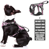 WINSEE service dog vest front view highlights no-pull design for safer leash guidance
