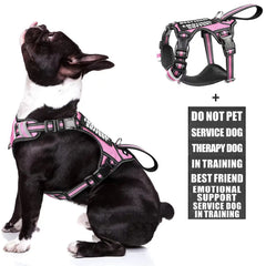 WINSEE service dog vest front view highlights no-pull design for safer leash guidance