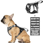 WINSEE service dog vest front view shows no-pull design for safer walking
