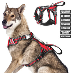 WINSEE service dog vest patches shown for easy signaling and customization during training.