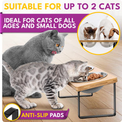 WinTruffles wood accent base adds natural style to the feeding area