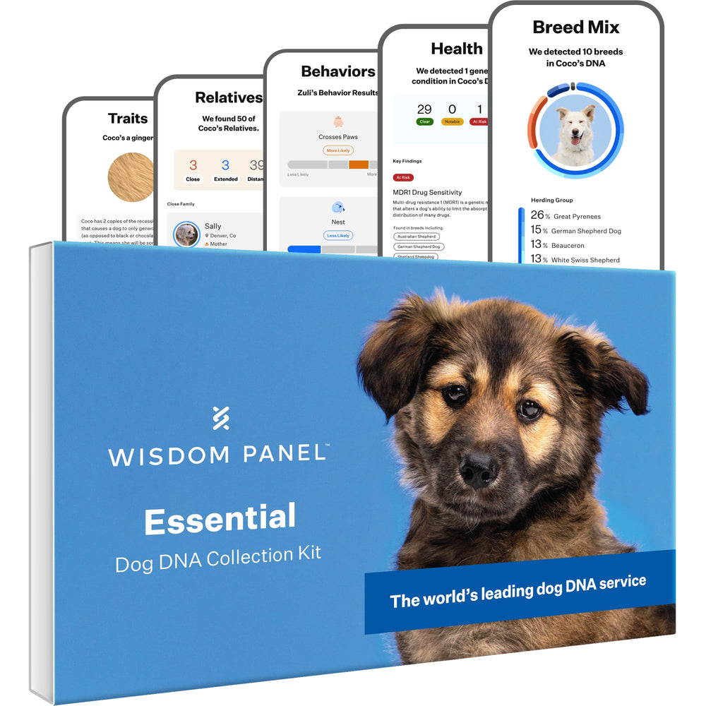 Wisdom Health Essential Dog DNA Kit pack-1 packaging for at-home testing