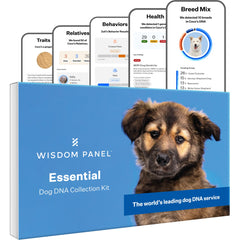 Wisdom Health Essential Dog DNA Kit pack-1 packaging for at-home testing