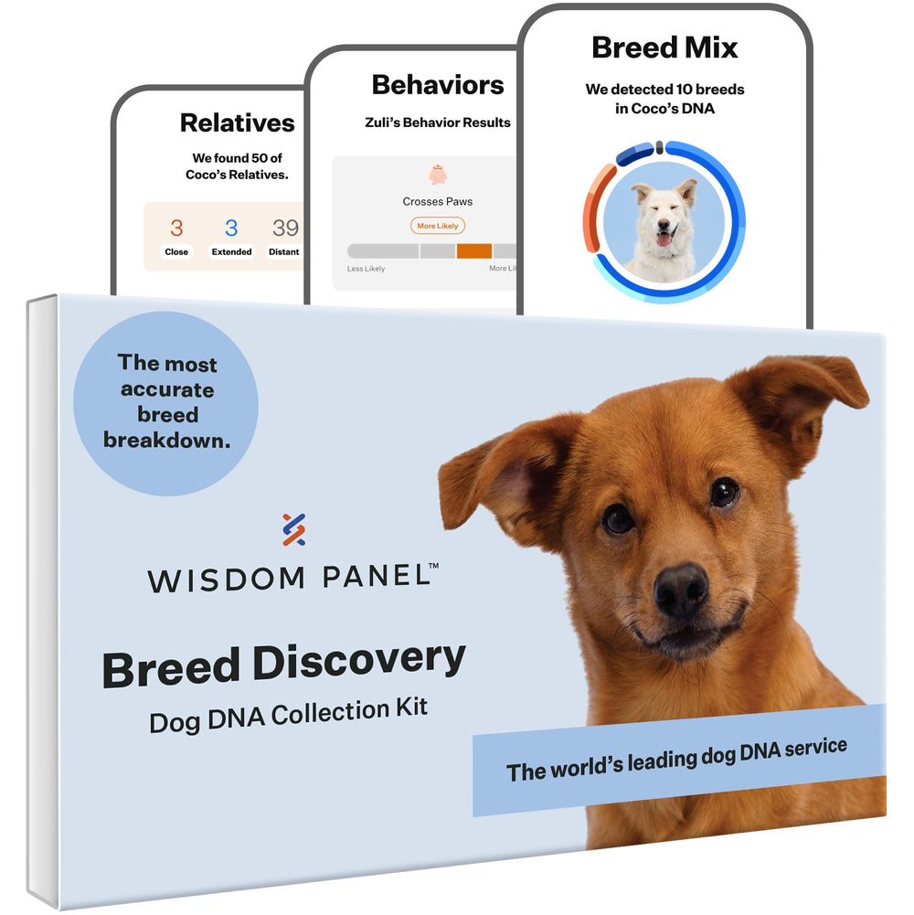 Wisdom Panel Breed Discovery Kit packaging shown for quick breed insights at home