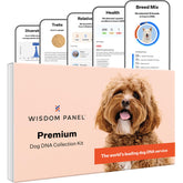 Wisdom Panel Premium DNA Kit box front for quick breed insights at home