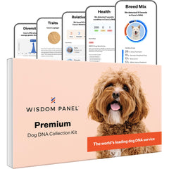 Wisdom Panel Premium DNA Kit box front for quick breed insights at home