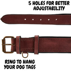 Wise Owl heavy-duty collar with double buckle and D rings for security
