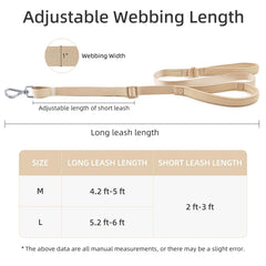 Wisedog adjustable-length leash used during training sessions