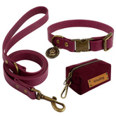 Wisedog burgundy collar close-up shows rust-resistant buckle for daily use.