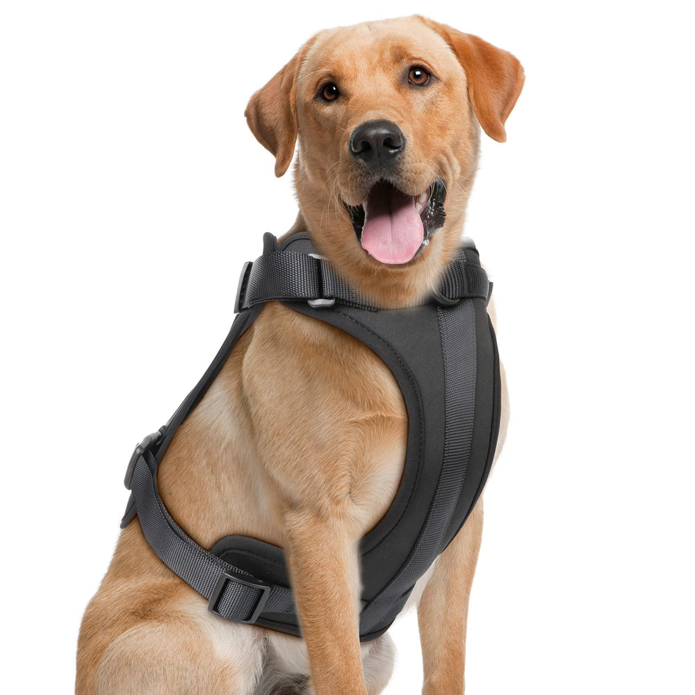 Wisedog No Pull Harness with soft-cloud comfort for daily walks.
