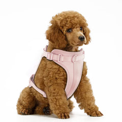 Wisedog No Pull Harness with soft cushion for all-day comfort during daily walks