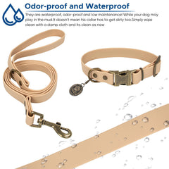 Wisedog poop bag dispenser keeps waste convenient on walks.