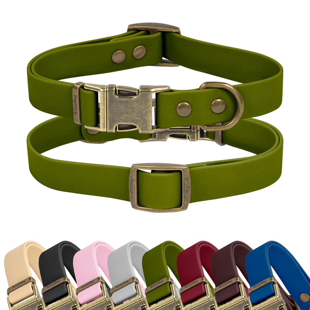 Wisedog rubber collar green waterproof feature keeps dog dry after rainy walks