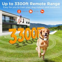 Wissilor remote transmitter for dual-channel training two dogs simultaneously.