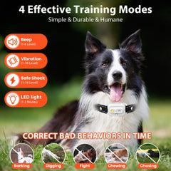 Wissilor dog training collar side view highlighting lightweight, durable nylon strap for active use.