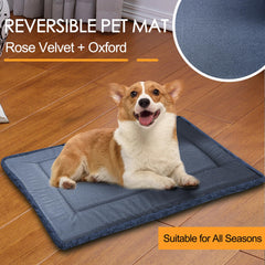 Durable Wittop bed, machine washable blue cushion for daily use