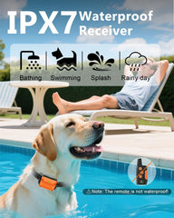WLLNEE IPX7 waterproof receiver on dog collar during rain or splashes