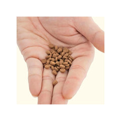 Pellets sinking to tank bottom supporting bottom-dwelling invertebrates and fish