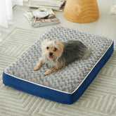WNPETHOME orthopedic large dog bed front view in plush rose fabric boosts cuddle-worthy comfort