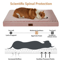 WNPETHOME dog bed with detachable washable cover and zipper for easy cleaning.