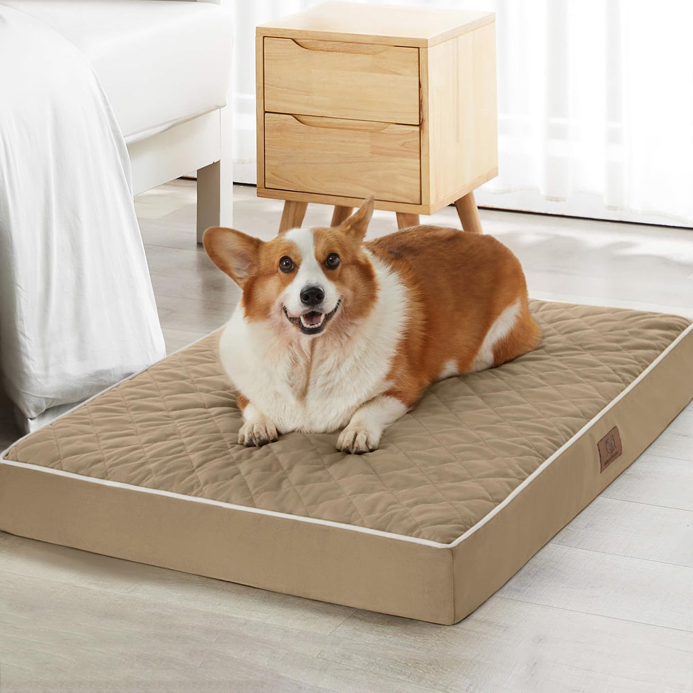 WNPETHOME orthopedic XXL bed with plush velvet surface for cozy naps.
