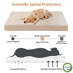 WNPETHOME waterproof layer cross-section illustrating mess protection for pets