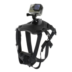 Wogerplu dog harness GoPro back view records head-level action for immersive footage.