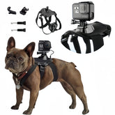 Wogerplu dog harness GoPro chest view captures dynamic action footage for playful moments.