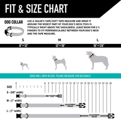 Wolfgang Heavy Duty collar welded D-ring close-up, secure leash attachment for training.