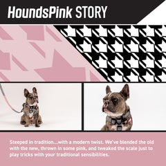 Wolfgang Man & Beast Heavy Duty harness D-ring attachment detail supports strong pulls during training.