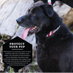 Wolfgang Heavy Duty Martingale Collar DigitalDog print, small, side view shows stylish, fade-resistant print.