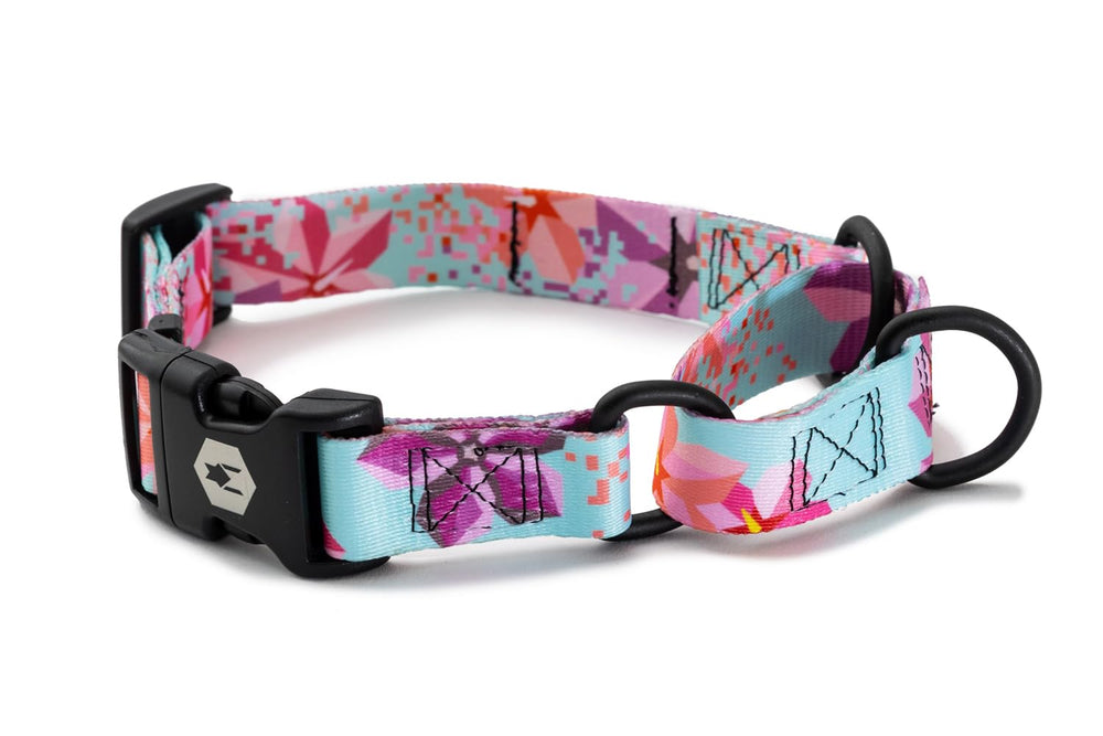 Wolfgang heavy duty martingale collar close up showing quick release buckle for secure walks